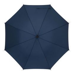 D6-56-0103430_BLIZZARD_02