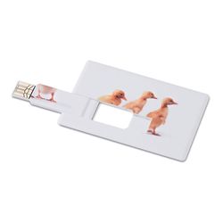 MEMORAMA Creditcard. USB flash 32GB