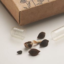 D9-MO2161-13A-FO-crop