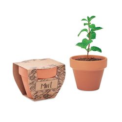 MINT POT Terrakotta ültető, menta MO2218-40