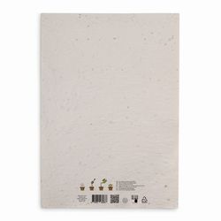 D9-MO6914-06E