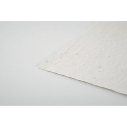 D9-MO6916-06A