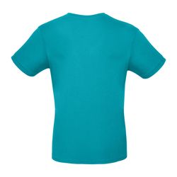 DT-BC-b02e-realturquoise_b