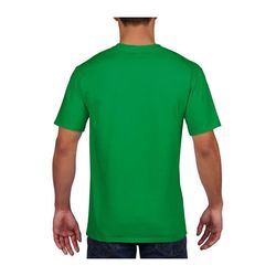 DT-GI4100-IRISHGREEN_B1