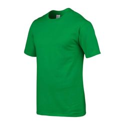 DT-GI4100-IRISHGREEN_C2