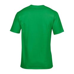 DT-GI4100-IRISHGREEN_D1