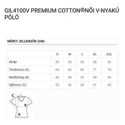 DT-GIL4100V-WHITE_SIZE